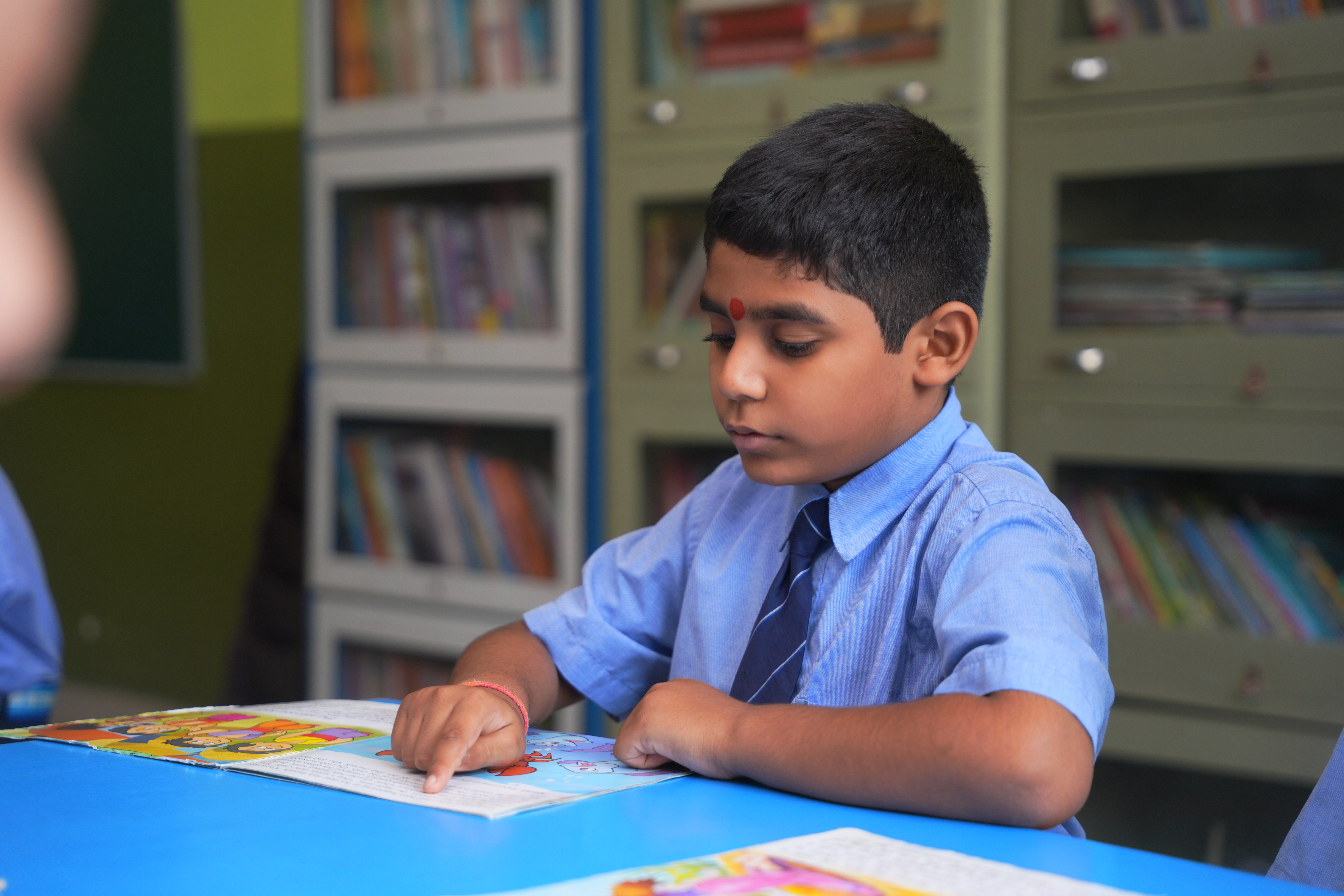 School Library Shelves